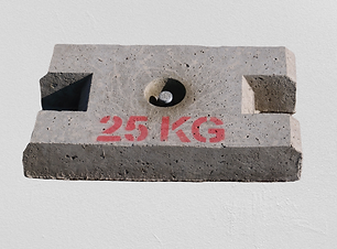 Masse 25 kg pour essai de palans et ponts roulants - 250 x 500 x 90mm - REF2220025_0