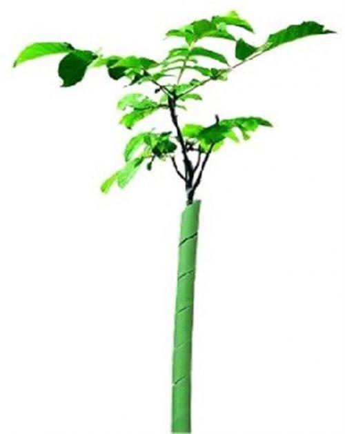 Tubex Spyrex 0.60m - Protège-tronc et gaine de protection pour jeunes plantations_0