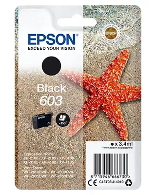 Epson Singlepack Black 603 Ink_0