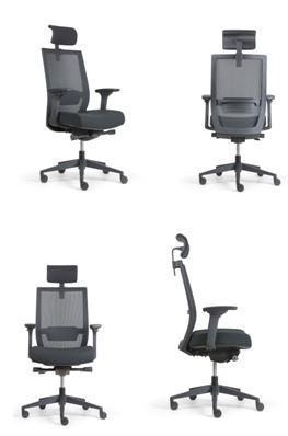 Fauteuil ergonomique Ergo - mécanisme synchrone, soutien lombaire réglable, accoudoirs et têtière ajustables, dossier en résille noire_1
