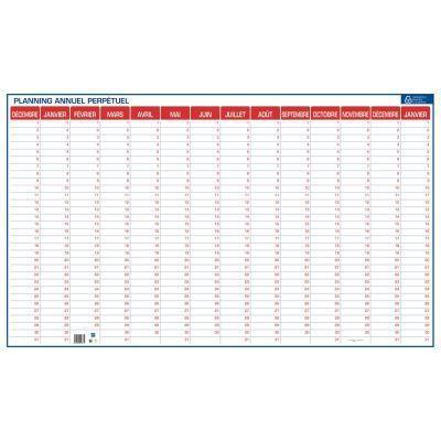 Planning souple 14 mois perpétuel - PVC effaçable à sec - 60x99 cm_0
