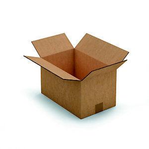 RAJA Caisse américaine carton double cannelure - L.Int. 35 x l.22 x h.20 cm - Kraft brun - Lot de 15_0