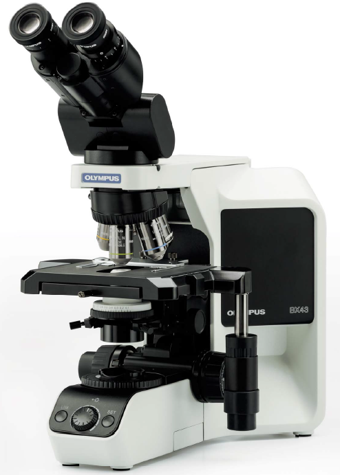 Bx43 - microscope droit_0