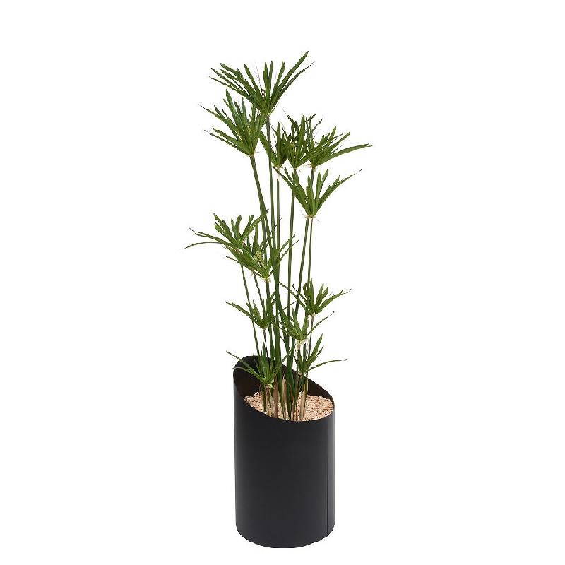 Papyrus artificiel en bac VAGUE - Hauteur 150 cm - Pot métal 4 coloris - Genexco_0