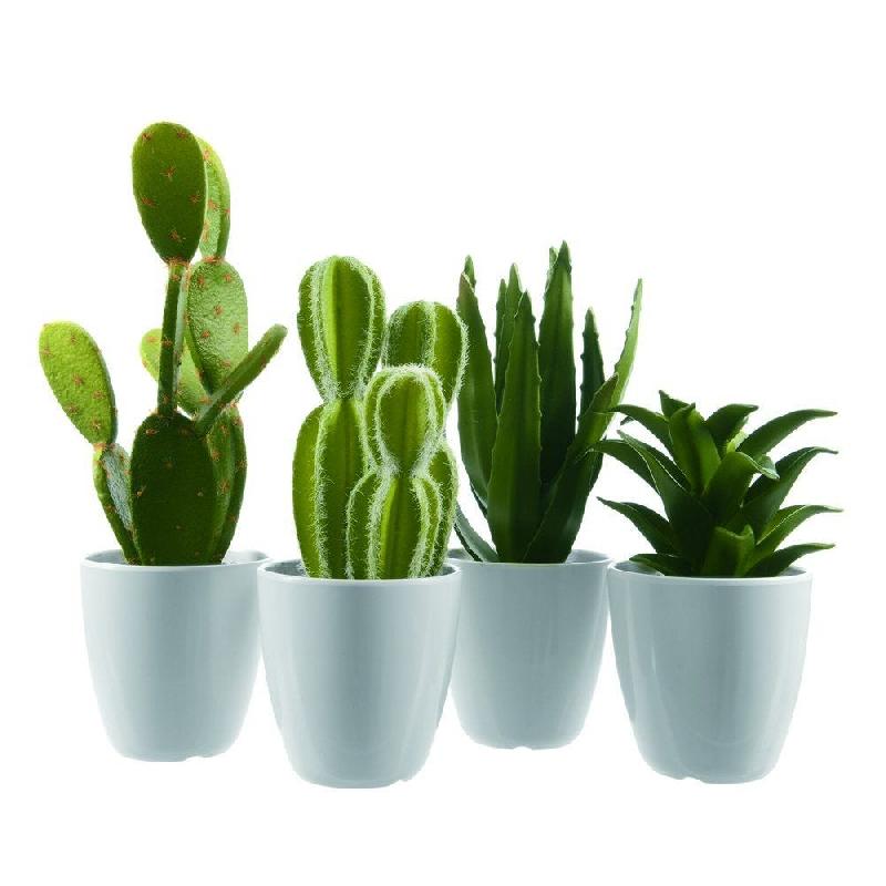 Plante grasse verte artificielle en plastique dans pot 9x25cm - 4 modèles disponibles - Thème Hacienda_0