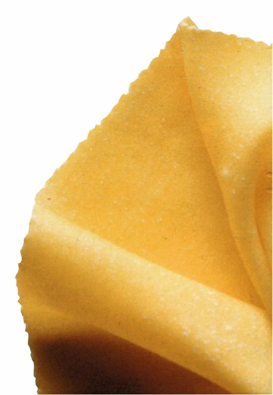 Matrice feuille à pâte - Accessoires pour machines à pâtes fraîches professionnelles - 170G_0
