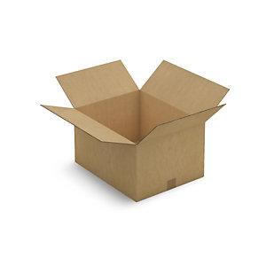 CAISSE CARTON BRUNE DOUBLE CANNELURE RENFORCÉE RAJA 48,5X38,5X27 CM