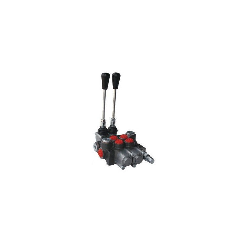 Distributeur hydraulique D80/2 SRDR - débit max 80 l/min - pression max 250 bar_0