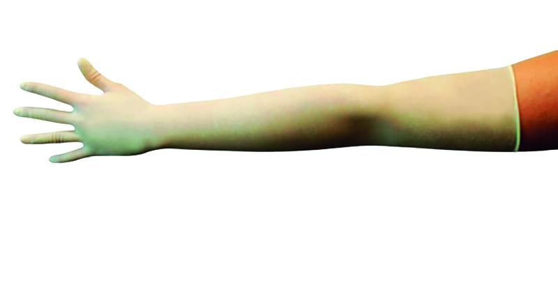 25 paires gants stériles à usage unique CE en latex non poudré pouur obstétrie - GLNPSTRNT-IM04/MXL_0