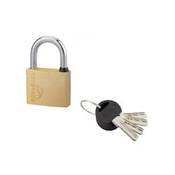 Cadenas à clé SP, extérieur, 40mm, anse acier cémenté nickelé, 4 clés réversibles - Serrurerie de Picardie - doré 3150268610408_0