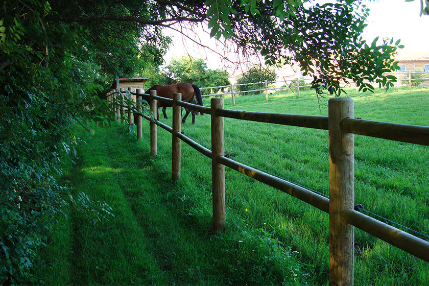 Clôture en bois double lisses - 2 perçages ø80mm h2,00m_0