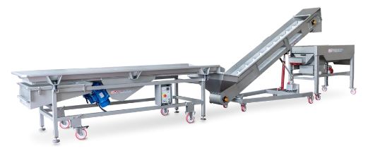 Ligne de tri Enoveneta - solutions de triage et sélection de vendange pour vignerons_0