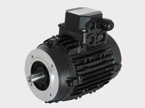 Moteur de ventilateur - 0,59 kW - IP 55 triphasé 400V - 1500 tr/mn - refroidi par flux d'air - hauteur d'axe 80_0