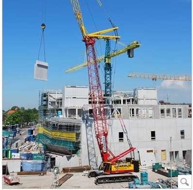 Lr 1130 grue sur chenilles_0