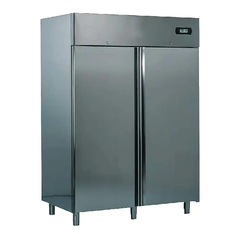 Armoire de maturation ou de séchage 2 portes capacité grille GN 2/1 (Type de porte: Pleine Réf - MATURE2PG-12)_0