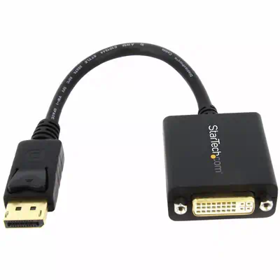 StarTech Adaptateur vidéo DisplayPort vers DVI_0