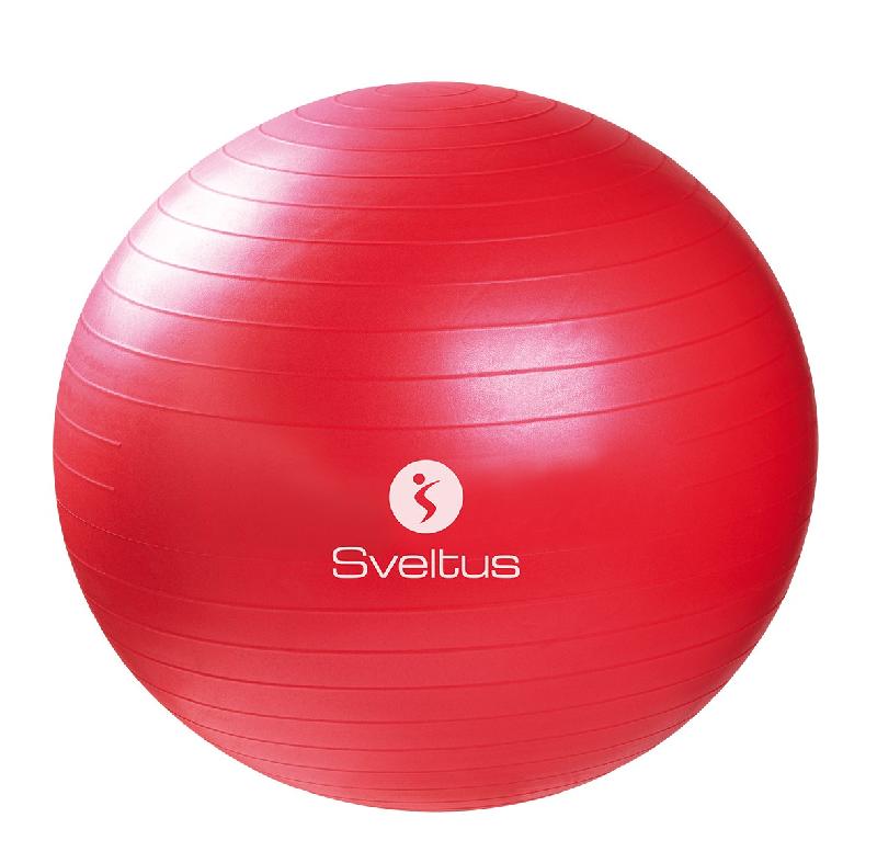 Ballon de gym 650 mm - BLLGYMPVCRG-SV03_0