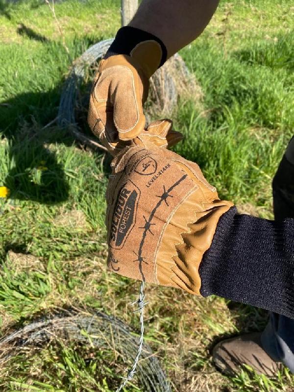Gants de protection Solidur - cuir fleur de bovin - débardage et débroussaillage - Réf. 961403_0