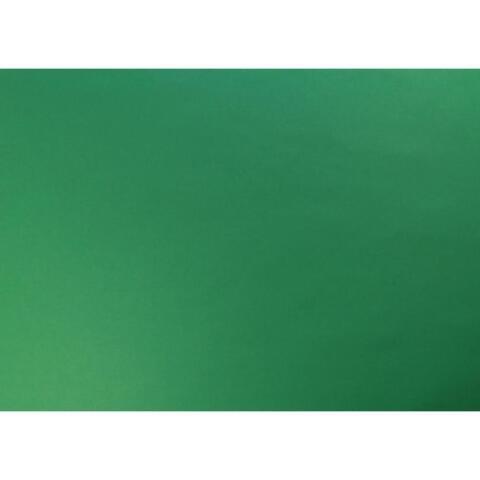 PAPIER COULEUR RECYLÉ, PAQUET DE 25 FEUILLES 120G/M2 SOUS/FILM AU FORMAT 50X65CM - VERT EMPIRE