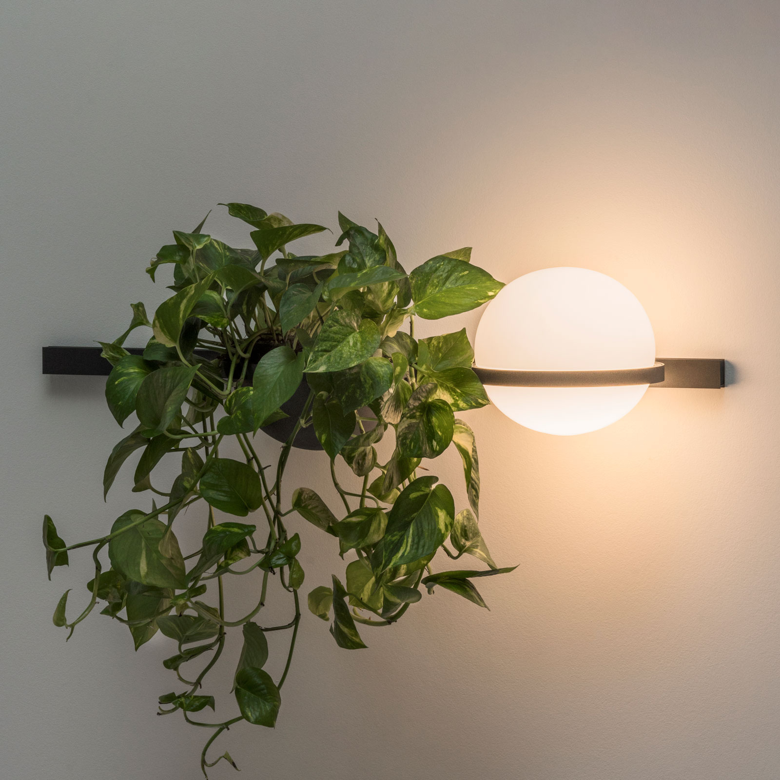 VIBIA PALMA 3702 APPLIQUE, BAC À PLANTES, GRAPHITE
