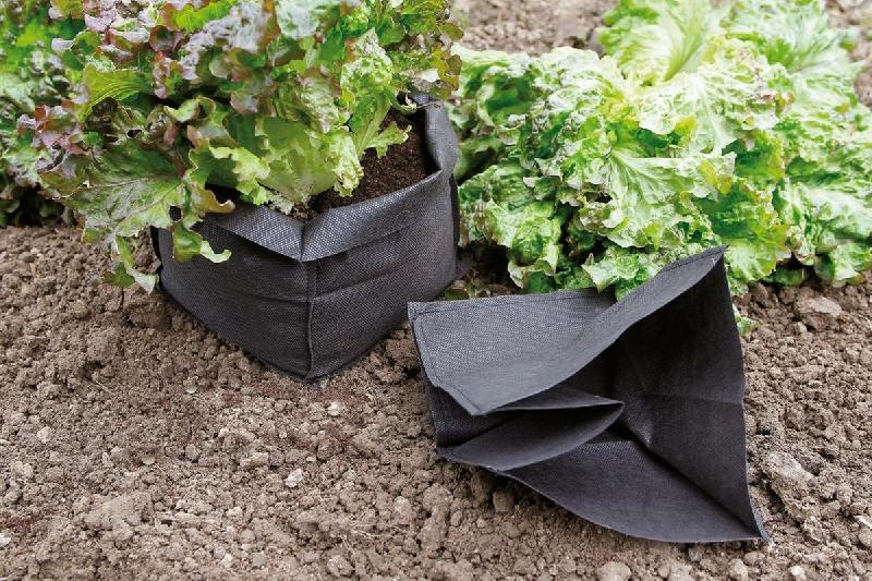 Lot de 12 sacs de protection pour salade 