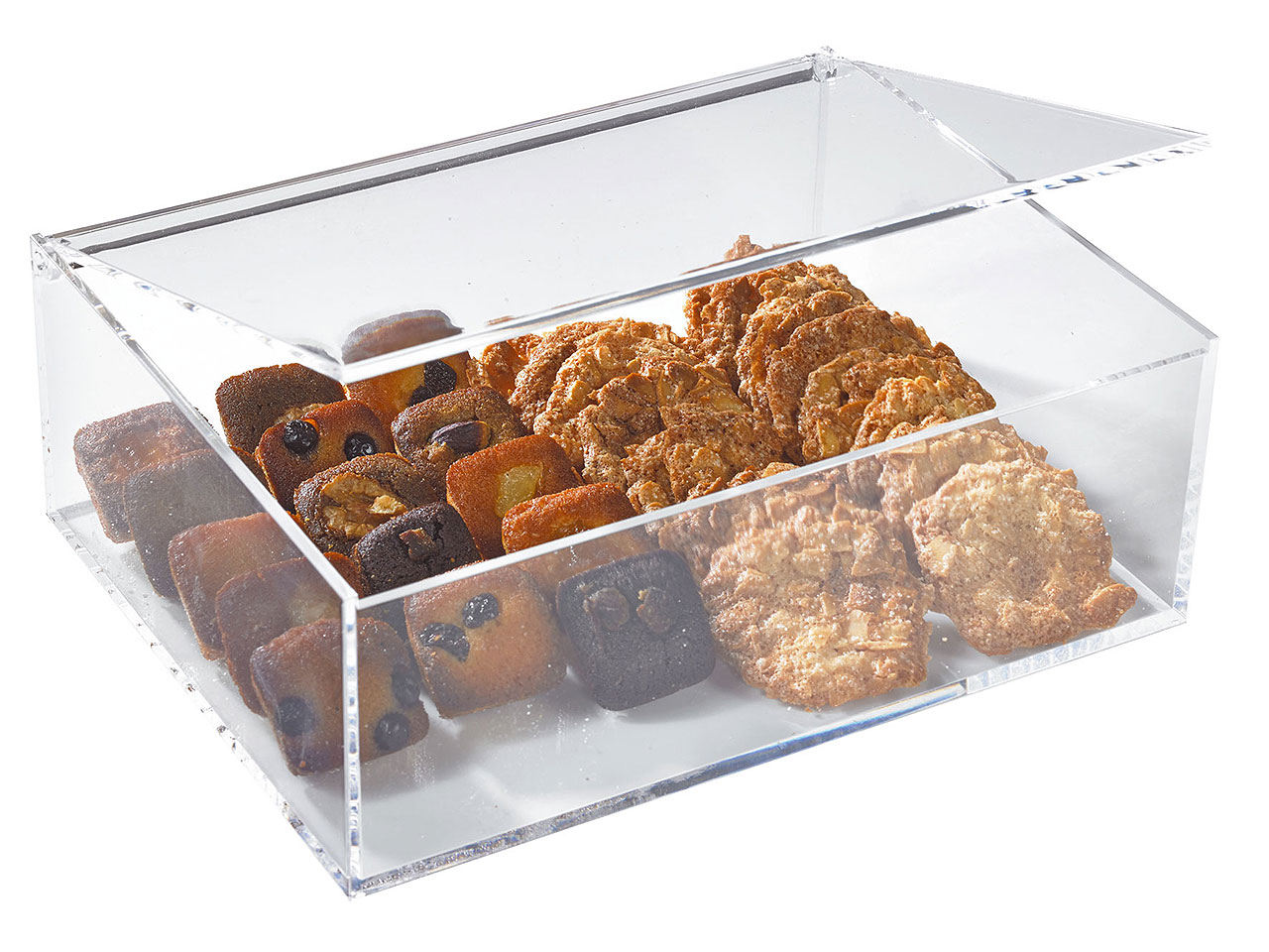 Boîte de conservation en plexiglass_0
