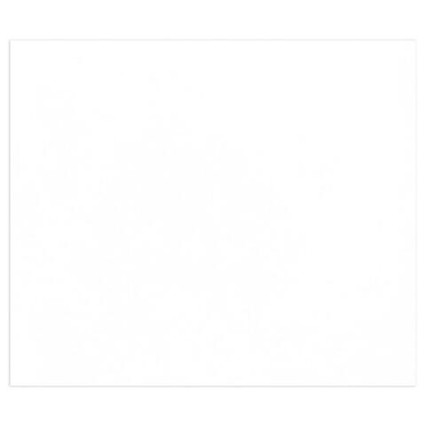 TULIPE RAME 50F 50X65CM 160G - BLANC