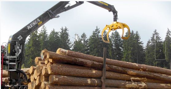 2124l - grues forestières - kesla - à bras droit relève de la catégorie des 24 tonnes/mètres_0