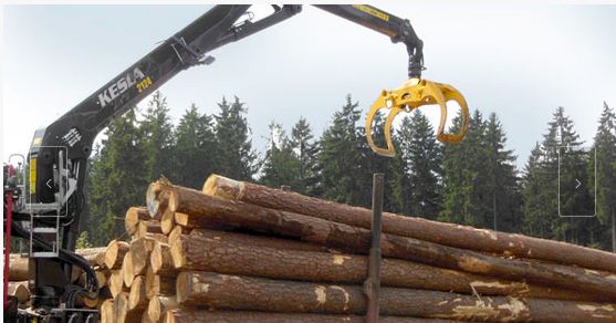 Grue forestière KESLA 2124L - bras droit - 24 tonnes/mètres - simple télescope - série 21_0