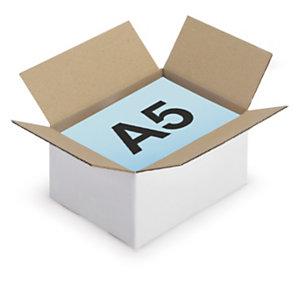 CAISSE CARTON BRUNE/BLANCHE SIMPLE CANNELURE RAJA FORMATS A5/A6