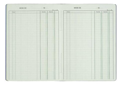 REGISTRE PIQÛRE RECETTES - DÉPENSES 2 COLONNES LE DAUPHIN 3931 - 21 X 29,7 CM 80 PAGES