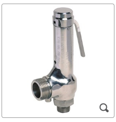 Soupape de sûreté inox 316 pour vapeur - P.0218 - Corps PN40, portée PTFE et levier de contrôle_0