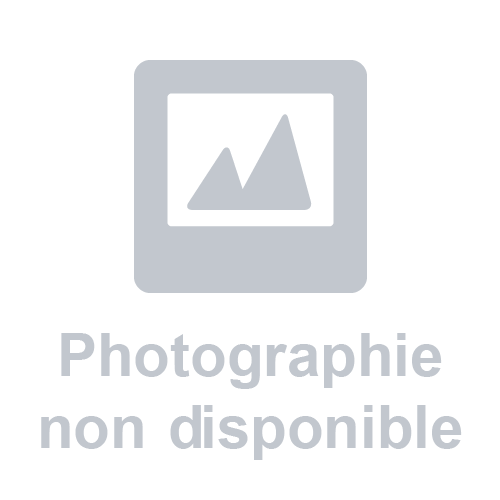 VIS À MÉTAUX - TÊTE HEXAGONALE - FILETAGE TOTAL - 8X40 MM - 50 PIÈCES ACTON