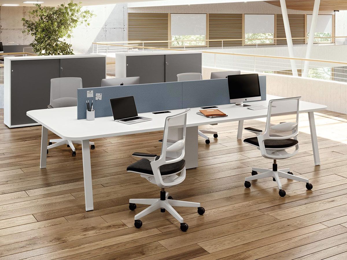 Bureau de coworking KELSO - séparation frontale, plateaux arrondis et base passe-câbles_0