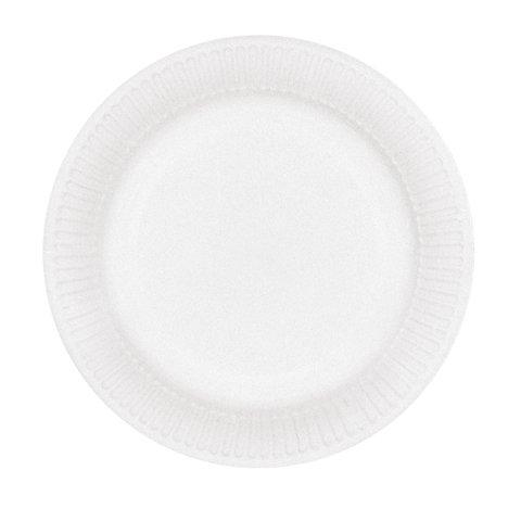 CARTON DE 500 (10 PAQUETS DE 50) ASSIETTES EN CARTON BLANC RECYCLÉ Ø 23 CM