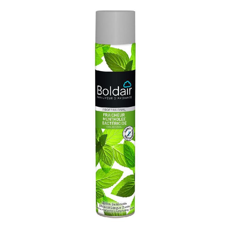 BOMBE DESODORISANTE BOLDAIR - PARFUM FRAÎCHEUR MENTHOLEE - 500 ML