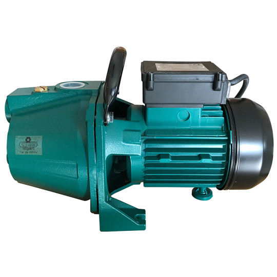 Pompe d'arrosage en fonte 1100W - GP1100 (58076) - Débit 4000 L/h et pression 4,5 bars_0