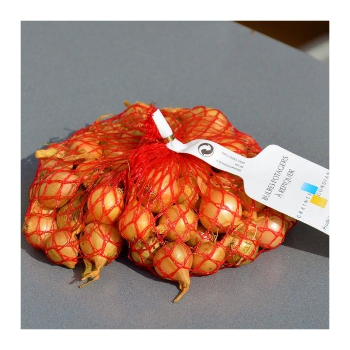 BULBES D'OIGNONS À REPIQUER. OIGNON JAUNE PAILLE DES VERTUS. 500 G - GONDIAN