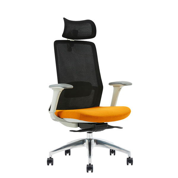 Fauteuil ergonomique avec réglages avancés pour un soutien optimal_0