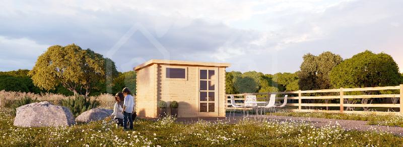 Abri de jardin Modern N2 6m² (3x2) - Pin nordique naturel - Épaisseur 28mm_0