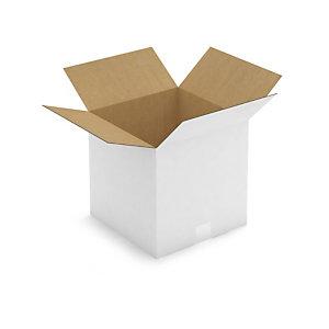 CAISSE CARTON BLANCHE SIMPLE CANNELURE RAJA 30X30X30 CM