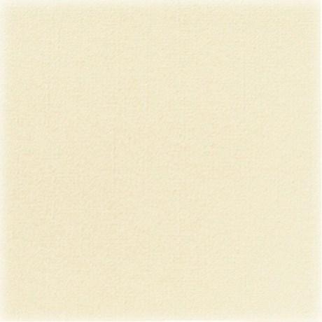 SERVIETTE JETABLE DUNISOFT 20 X 20 CM (VENDU PAR 180)