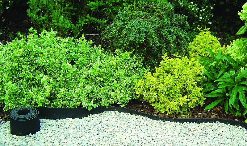 Bordure de gazon en caoutchouc - 20cm, 15 m_0