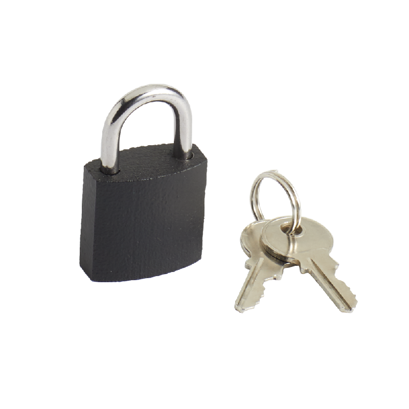 Cadenas à clé en fer - largeur 25 mm - bon niveau de sécurité - double ancrage - 2 clés_0