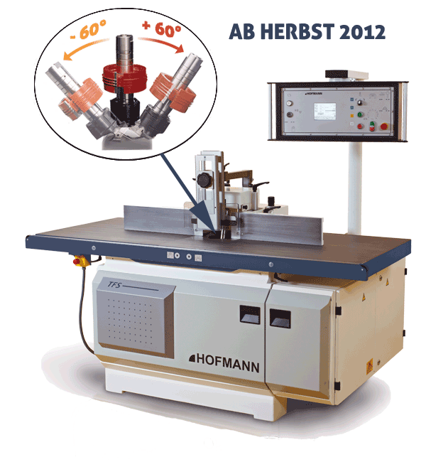 Toupie inclinable TFS 1260 - Inclinaison +/- 60° - Entraînement direct - Attachement HSK-F63_0