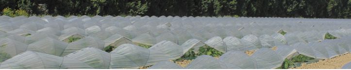 Tunesol naturel - film agricole - solplast - membrane multi-couche_0