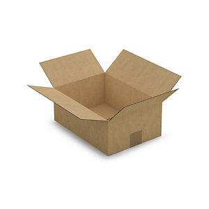 CAISSE CARTON BRUNE SIMPLE CANNELURE RAJA 31X22X12 CM