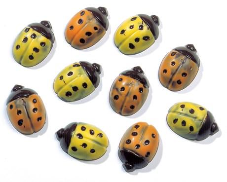MATFER - PLAQUE 15 COCCINELLES COPOLYESTER - 380241