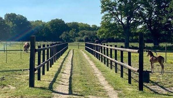 Clôture en bois pour cheval_0