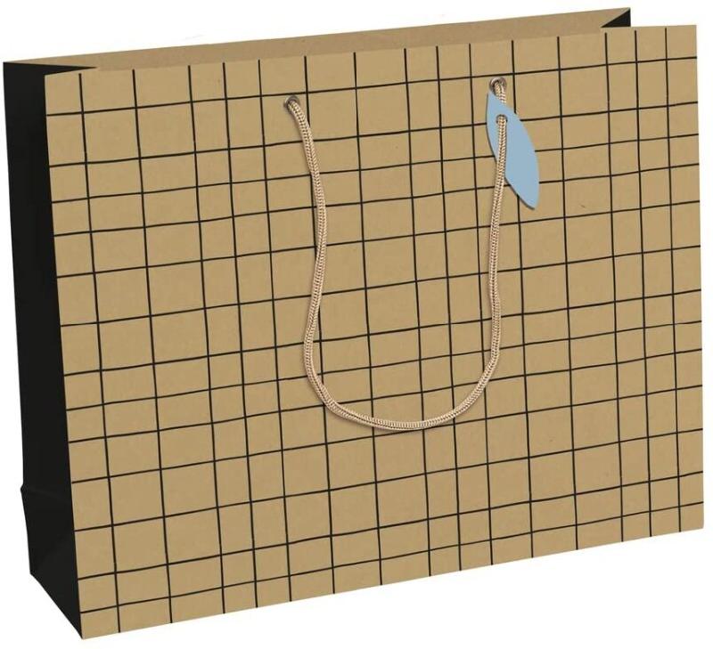 Clairefontaine Lot de 6 Sac cadeau Minimalist, format shopping (37,3x11,8x27,5 cm), papier 210 g/m², cordelette assortie - 5033601514428_0